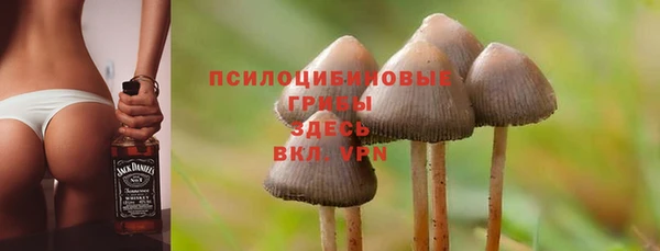 МДМА Арсеньев
